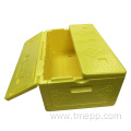 EPP refrigerated box picnic insulation capacity